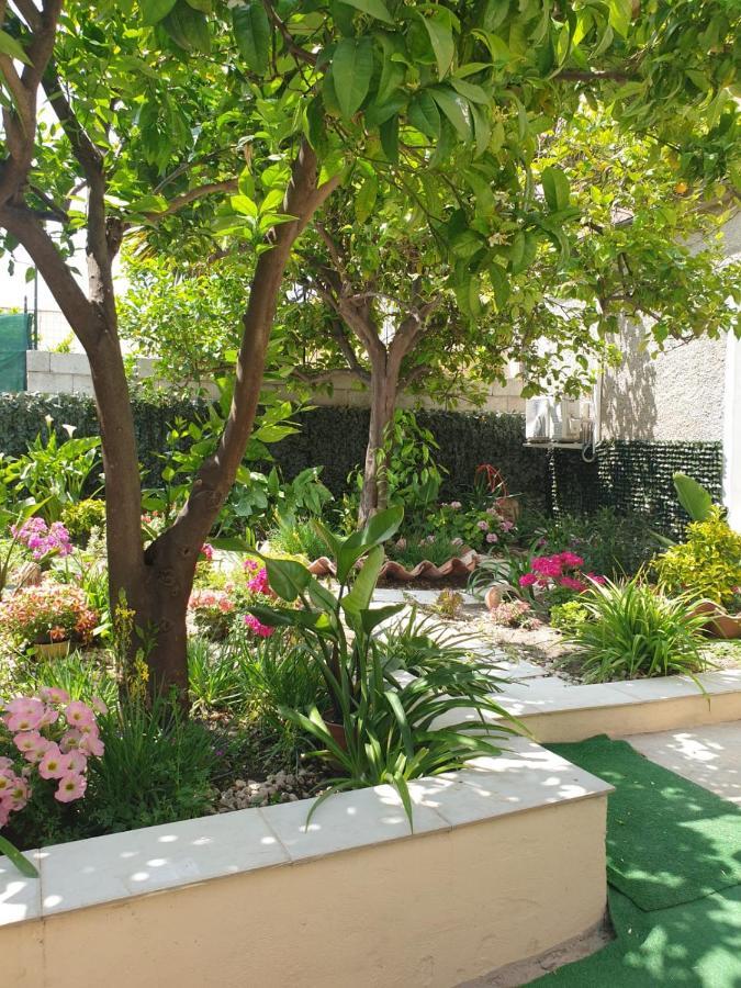 Casa Vacanze Con Giardino E Area Barbecue Martis Екстер'єр фото